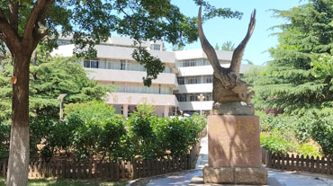 山東財經大學職業教育聯合培養招生簡章