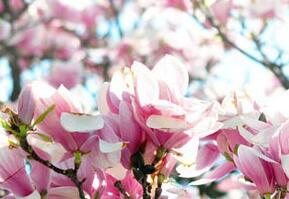 溫州市藝術職業學校